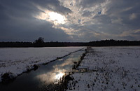 Mönchbruch Naturschutzgebiet