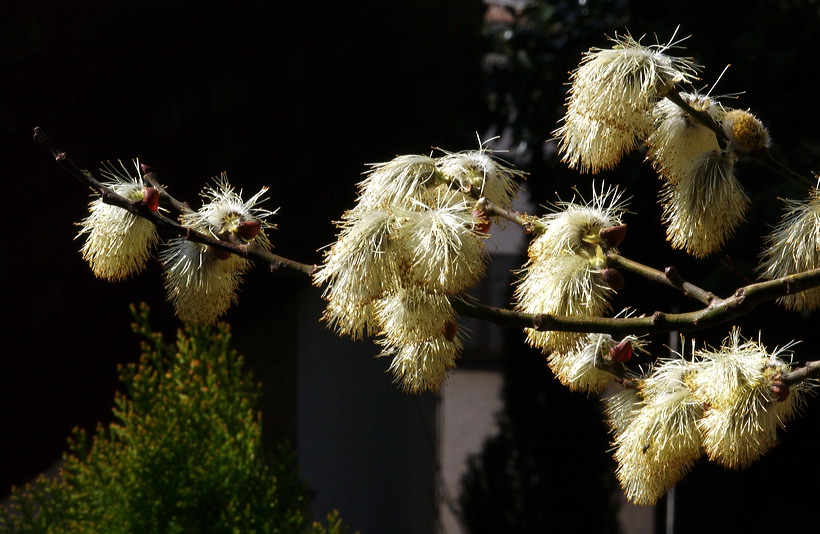 Ostern Osterzeit Osterbrauchtum Osterfeiertage bunte Ostereier Osterhasen Osterfeuer Ostergedichte