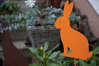 Ostern Osterzeit Osterbrauchtum Osterfeiertage bunte Ostereier Osterhasen Osterfeuer Ostergedichte