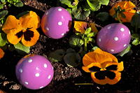 Ostern Osterzeit Osterbrauchtum Osterfeiertage bunte Ostereier Osterhasen Osterfeuer Ostergedichte