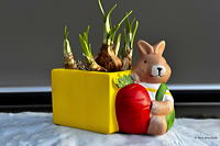 Ostern Osterzeit Osterbrauchtum Osterfeiertage bunte Ostereier Osterhasen Osterfeuer Ostergedichte