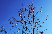 Ostern Osterzeit Osterbrauchtum Osterfeiertage bunte Ostereier Osterhasen Osterfeuer Ostergedichte