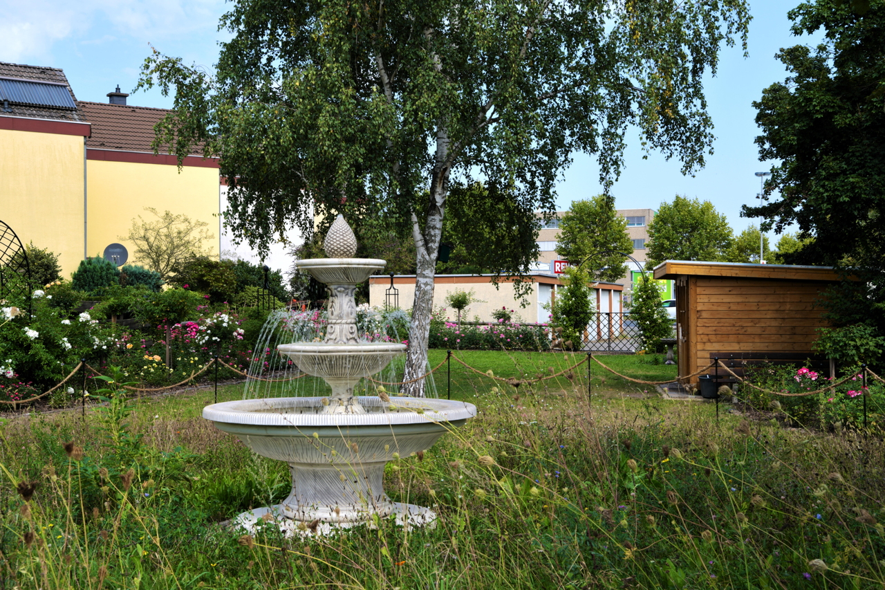 Rosengarten Mörfelden-Walldorf im Stadtteil Mörfelden, Rubensstraße 63 - Bürgerprojekt von Rudolf und Irene Blasnik, initiert im August 2021.