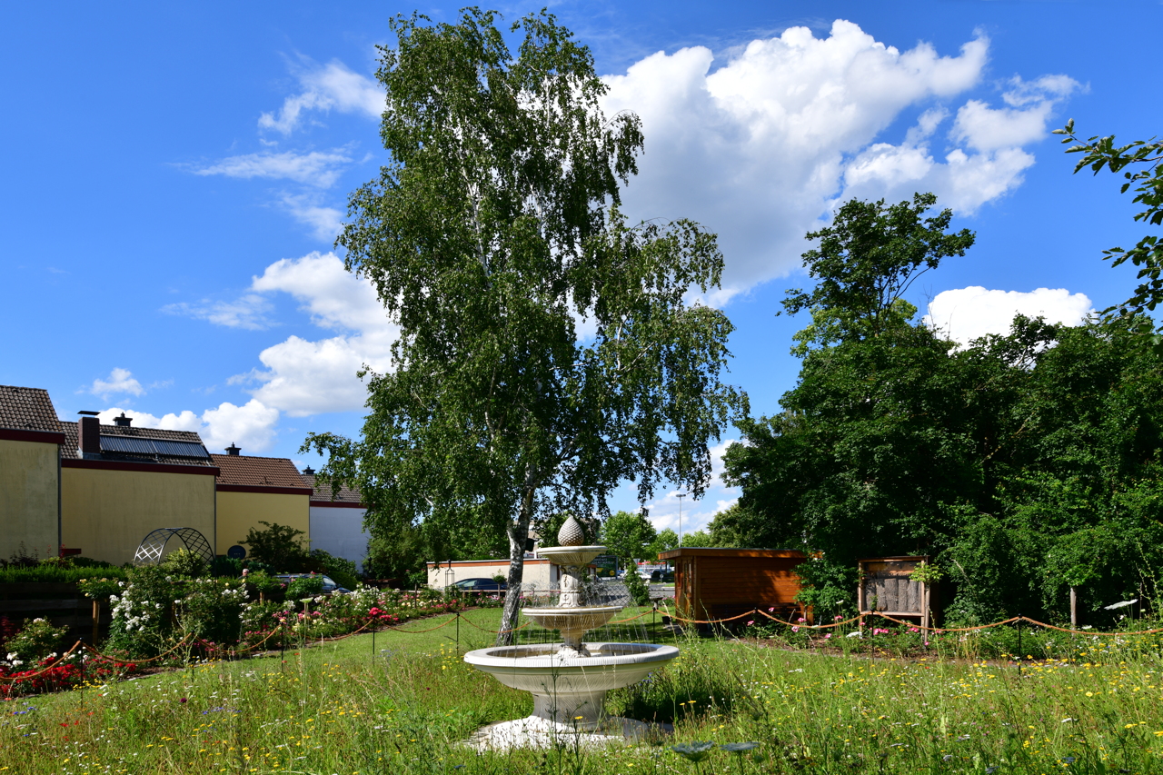 Rosengarten Mörfelden-Walldorf im Stadtteil Mörfelden, Rubensstraße 63 - Bürgerprojekt von Rudolf und Irene Blasnik, initiert im August 2021..