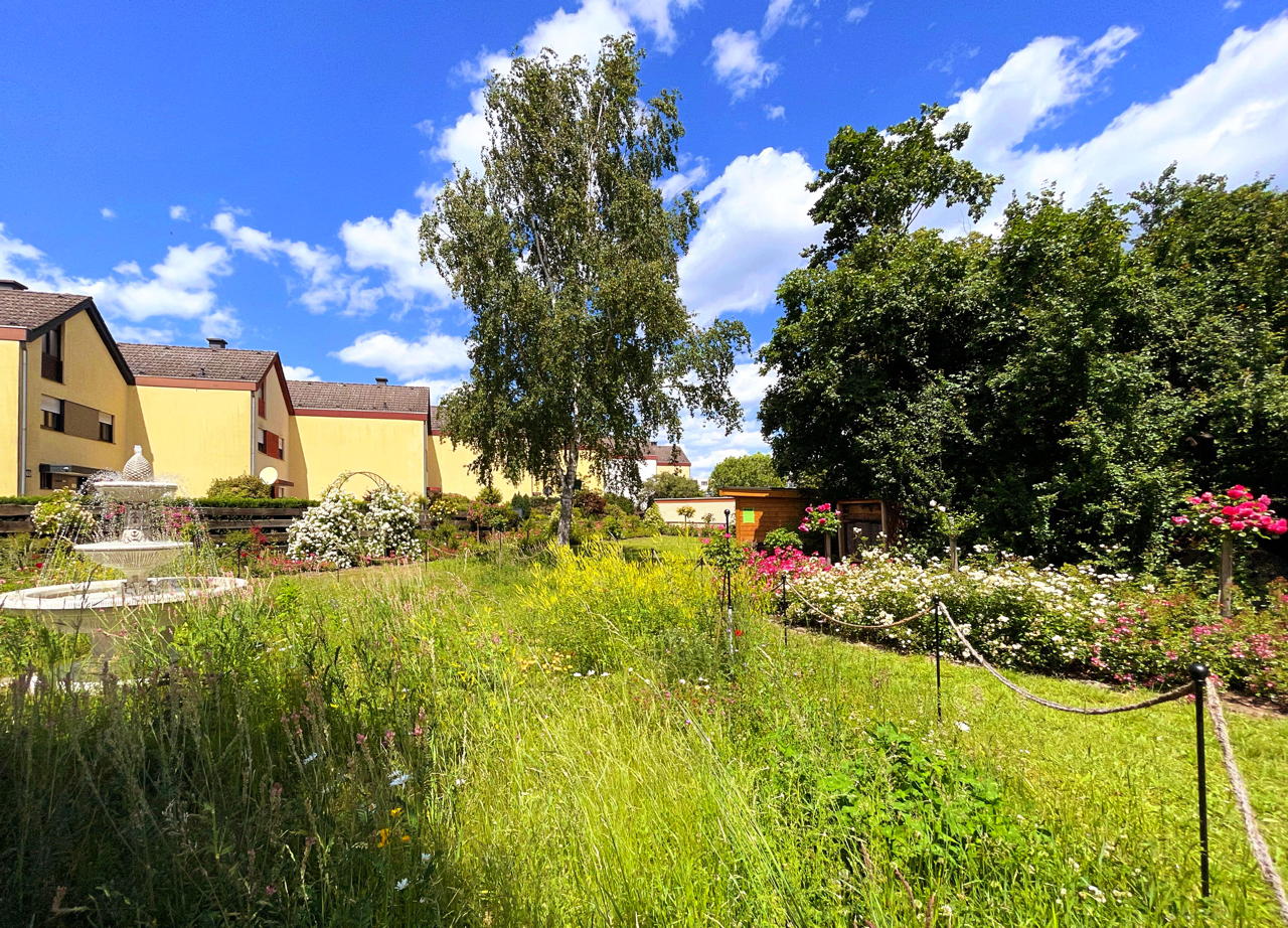 Rosengarten Mörfelden-Walldorf im Stadtteil Mörfelden, Rubensstraße 63 - Bürgerprojekt von Rudolf und Irene Blasnik, initiert im August 2021.