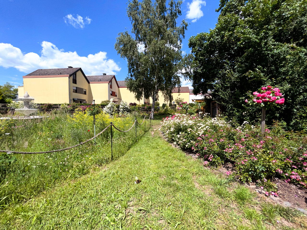 Rosengarten Mörfelden-Walldorf im Stadtteil Mörfelden, Rubensstraße 63 - Bürgerprojekt von Rudolf und Irene Blasnik, initiert im August 2021.