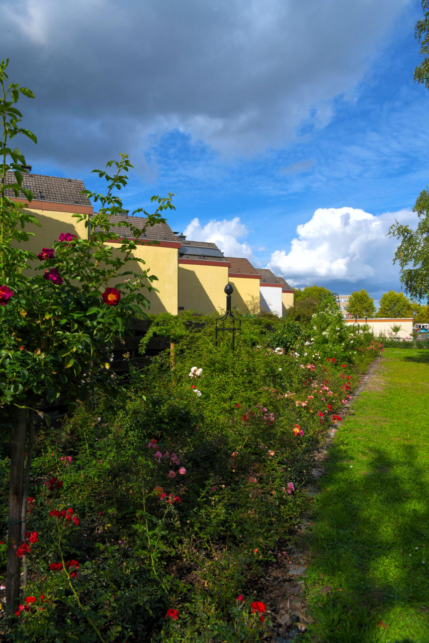  Rosengarten Mörfelden-Walldorf im Stadtteil Mörfelden, Rubensstraße 63 - Bürgerprojekt von Rudolf und Irene Blasnik, initiert im August 2021.