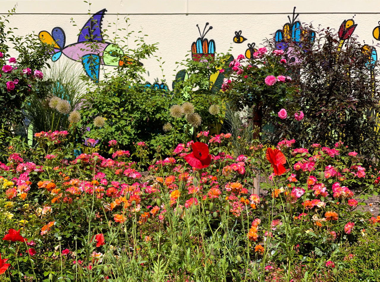 Rosengarten Mörfelden-Walldorf im Stadtteil Mörfelden, Rubensstraße 63 - Bürgerprojekt von Rudolf und Irene Blasnik, initiert im August 2021.