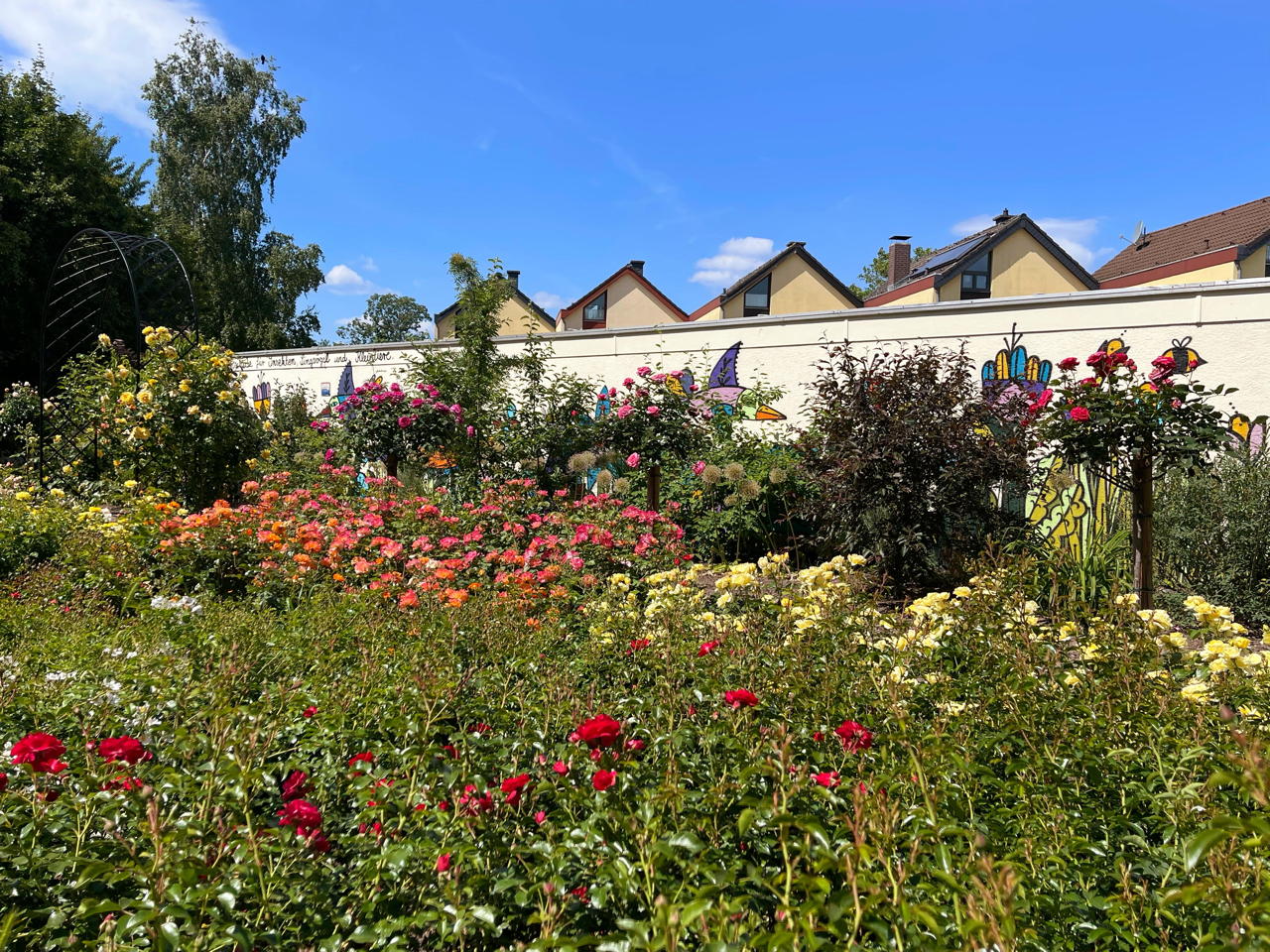 Rosengarten Mörfelden-Walldorf im Stadtteil Mörfelden, Rubensstraße 63 - Bürgerprojekt von Rudolf und Irene Blasnik, initiert im August 2021.