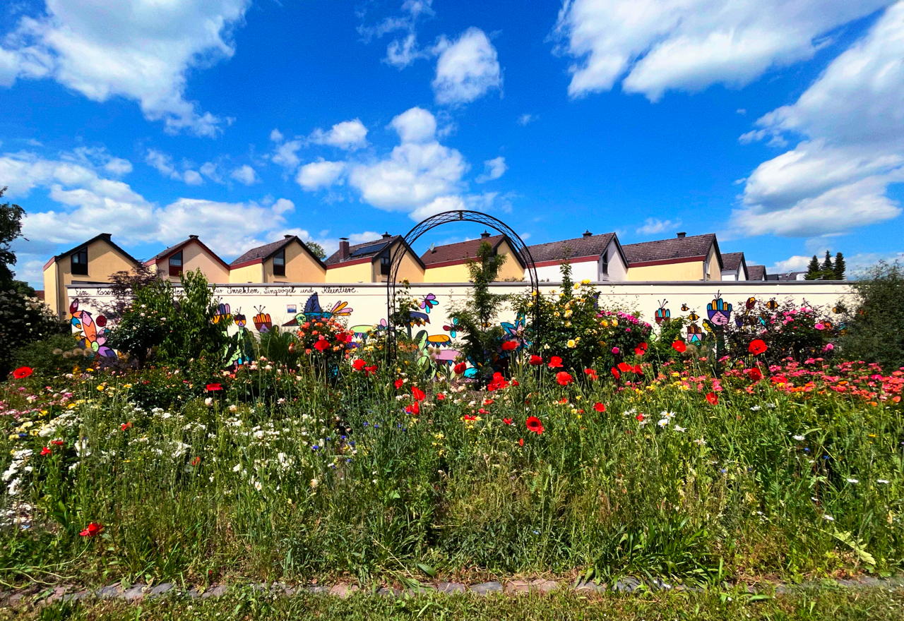 Rosengarten Mörfelden-Walldorf im Stadtteil Mörfelden, Rubensstraße 63 - Bürgerprojekt von Rudolf und Irene Blasnik, initiert im August 2021.