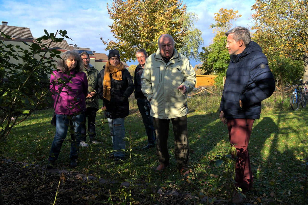 Rosengarten Mörfelden-Walldorf im Stadtteil Mörfelden, Rubensstraße 63 - Bürgerprojekt von Rudolf und Irene Blasnik, initiert im August 2021.