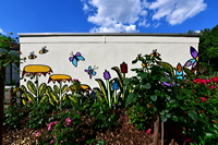 Rosengarten Mörfelden-Walldorf im Stadtteil Mörfelden, Rubensstraße 63 - Bürgerprojekt von Rudolf und Irene Blasnik, initiert im August 2021.