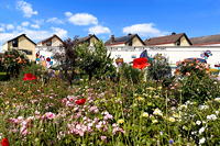 Rosengarten Mörfelden-Walldorf im Stadtteil Mörfelden, Rubensstraße 63 - Bürgerprojekt von Rudolf und Irene Blasnik, initiert im August 2021.