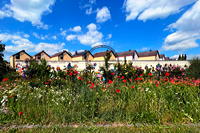 Rosengarten Mörfelden-Walldorf im Stadtteil Mörfelden, Rubensstraße 63 - Bürgerprojekt von Rudolf und Irene Blasnik, initiert im August 2021.