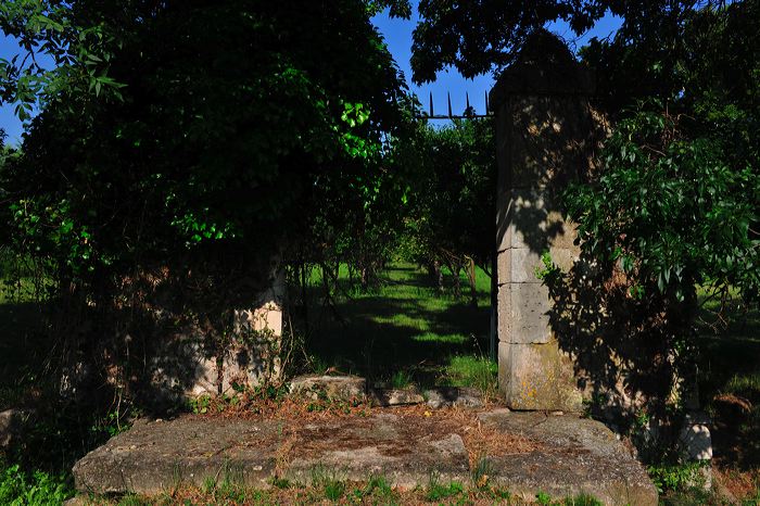 Saint-Remy de Provence - Chateau de Roussan