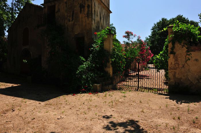 Saint-Remy de Provence - Chateau de Roussan