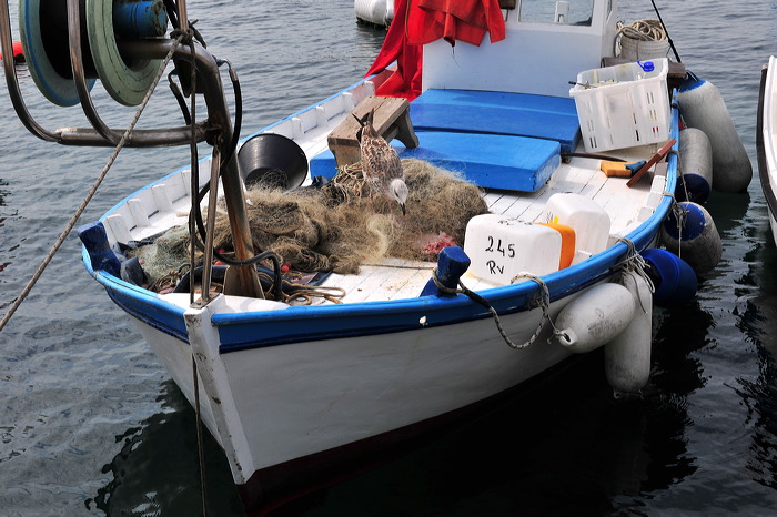 Rovinj, Vrsar, Porec und Fontana liegen auf der Halbinsel von Istrien in Kroatien Croatia.