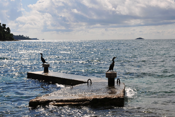 Rovinj, Vrsar, Porec und Fontana liegen auf der Halbinsel von Istrien in Kroatien Croatia.