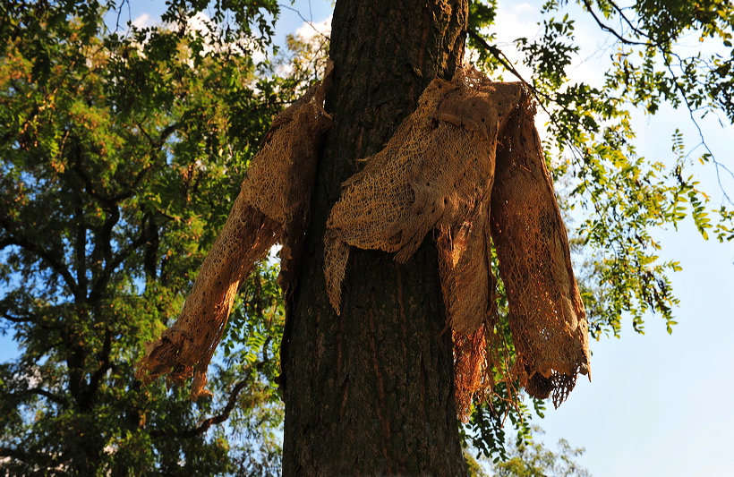 14. Skulpturenpark 2011, Kunst-Stücke der Stadt Mörfelden-Walldorf