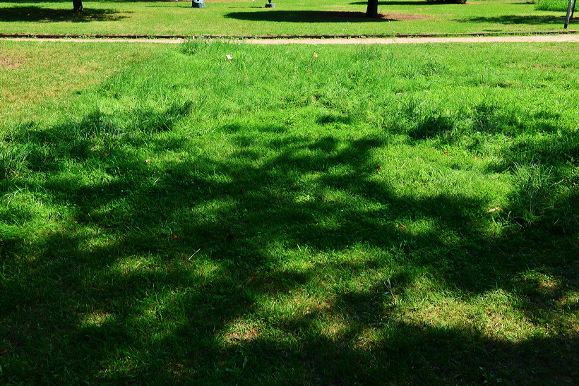 18. Skulpturenpark 2015, der Stadt Mörfelden-Walldorf - Figur und Umwelt