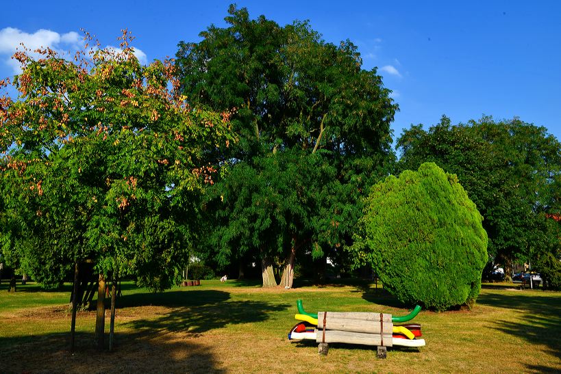 19. Skulpturenpark Mörfelden-Walldorf vom 7. August - 11. September 2016,  im Bürgerpark Mörfelden mit Jules Andrieu - Elvira Chevalier - Jan Douma - Ulrike Gölner - Cornelia Heier - Margret Holz - Thomas Matt - Markus Schmitt - Achim Schroeteler - Franz Stähler - Elizabeth Thallauer - Georg-Friedrich Wolf 