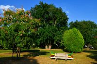 19. Skulpturenpark Mörfelden-Walldorf vom 7. August - 11. September 2016,  im Bürgerpark Mörfelden mit Jules Andrieu - Elvira Chevalier - Jan Douma - Ulrike Gölner - Cornelia Heier - Margret Holz - Thomas Matt - Markus Schmitt - Achim Schroeteler - Franz Stähler - Elizabeth Thallauer - Georg-Friedrich Wolf 