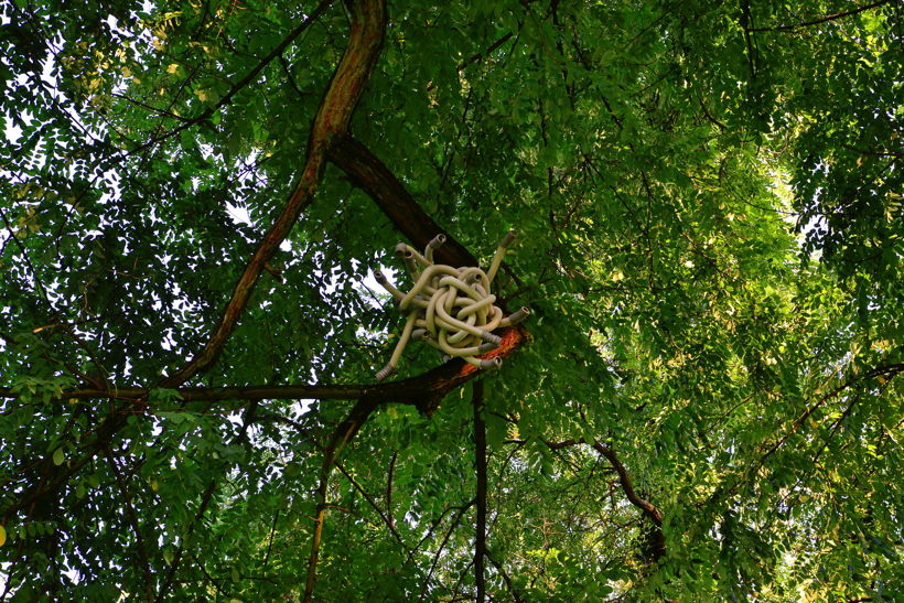 20. Skulpturenpark: Mörfelden-Walldorf mit Jules Andrieu, Lars Karl Becker, Merja Herzog-Hellsten, Isabell Hofmann, Peter Müller, Emilia Neumann, Marco Poblete Young, Felix Rombach, Waldemar Scheck, Lukas Sünder, vom 30. Juli bis 3. September 2017 im Bürgerpark Mörfelden