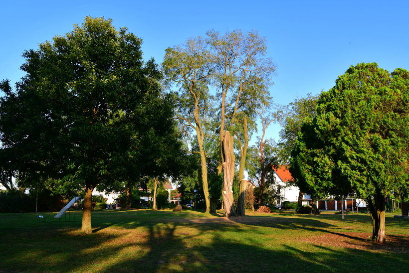 22. Skulpturenpark Mörfelden-Walldorf vom 28. Juli bis 1. September 2019 im Bürgerpark Mörfelden mit Felicithas Arndt, Edgar Diehl, Steve Johnson, Gertraud Hasselbach, Xue Liu, Faxe M. Müller, Stefan Pinl, Thomas Reifferscheid, Felix Rombach und Katrin Trost