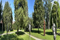 25.Skulpturenpark2023 Vom 9. Juli bis 3. September 2023 Zum 25. Jubiläum des Skulpturenparks zeigen 22 PreisträgerInnen der vergangenen 24 Jahre aktuelle Arbeiten, im Bürgerpark Mörfelden in einem Open-Air-Ausstellungsraum mit Skulptur und Objektkunst.  