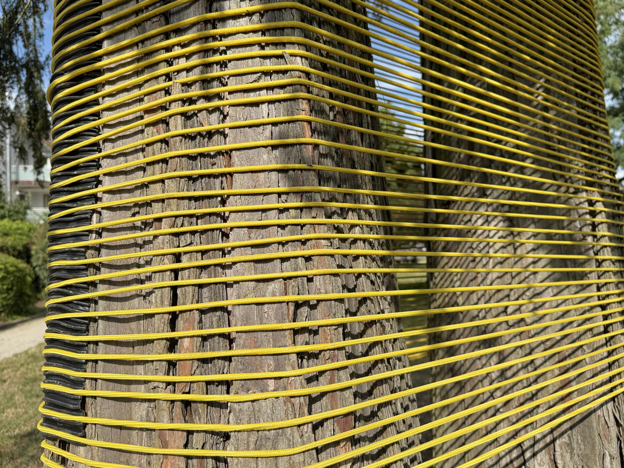 27.Skulpturenpark 2025 Vom 20. Juli bis 7. September 2025 im Bürgerpark Mörfelden in einem Open-Air-Ausstellungsraum mit Skulptur und Objektkunst.