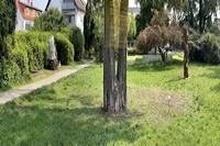 27.Skulpturenpark 2025 Vom 20. Juli bis 7. September 2025 im Bürgerpark Mörfelden in einem Open-Air-Ausstellungsraum mit Skulptur und Objektkunst.