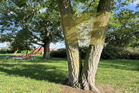27.Skulpturenpark 2025 Vom 20. Juli bis 7. September 2025 im Bürgerpark Mörfelden in einem Open-Air-Ausstellungsraum mit Skulptur und Objektkunst.