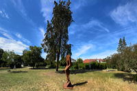 27.Skulpturenpark 2025 Vom 20. Juli bis 7. September 2025 im Bürgerpark Mörfelden in einem Open-Air-Ausstellungsraum mit Skulptur und Objektkunst.