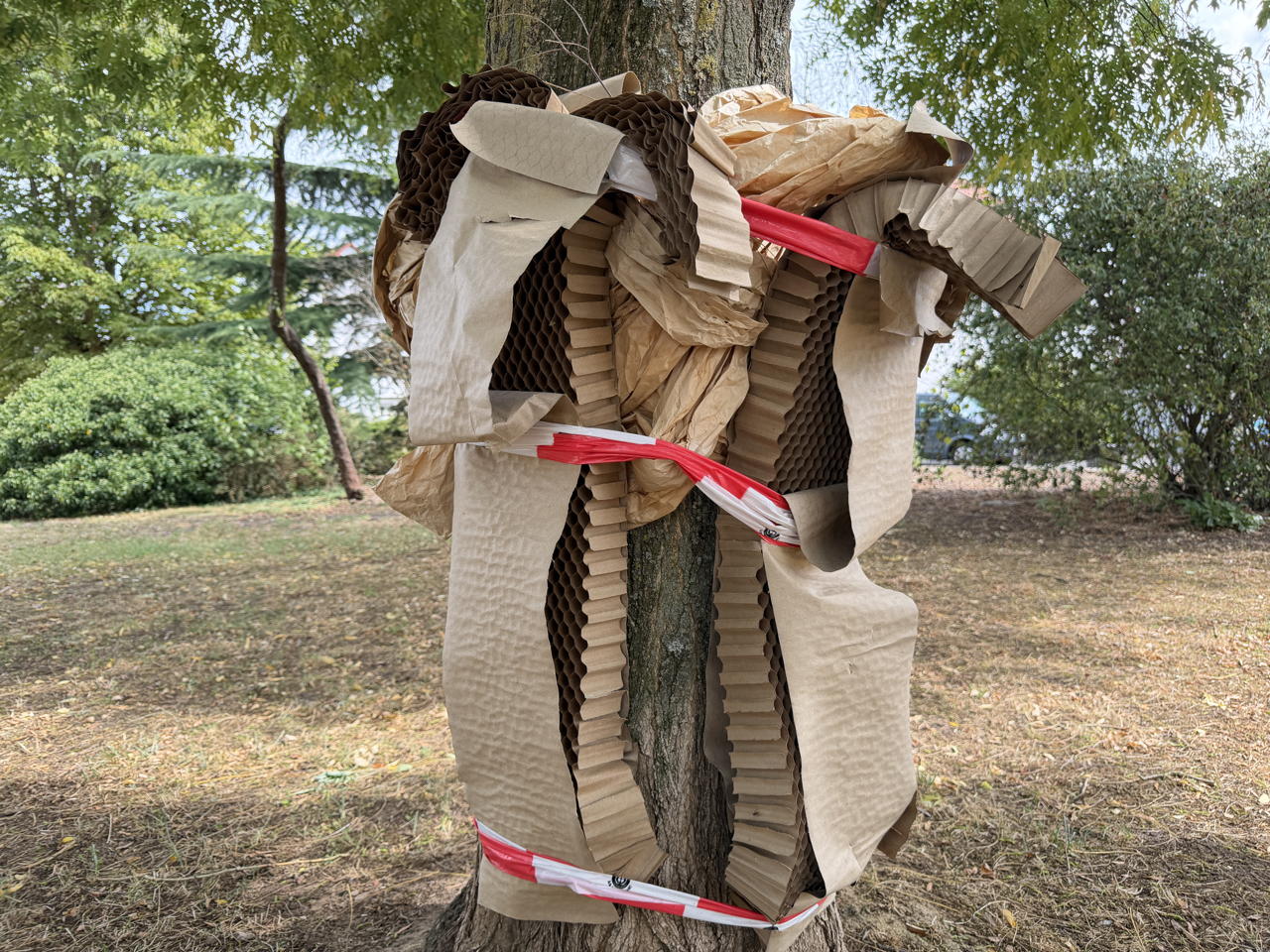 28. Skulpturenpark 2026 Vom 26. Juli bis 6. September 2026 im Bürgerpark Mörfelden in einem Open-Air-Ausstellungsraum mit Skulptur und Objektkunst.