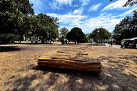 28. Skulpturenpark 2026 Vom 26. Juli bis 6. September 2026 im Bürgerpark Mörfelden in einem Open-Air-Ausstellungsraum mit Skulptur und Objektkunst.