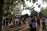 28. Skulpturenpark 2026 Vom 26. Juli bis 6. September 2026 im Bürgerpark Mörfelden in einem Open-Air-Ausstellungsraum mit Skulptur und Objektkunst.