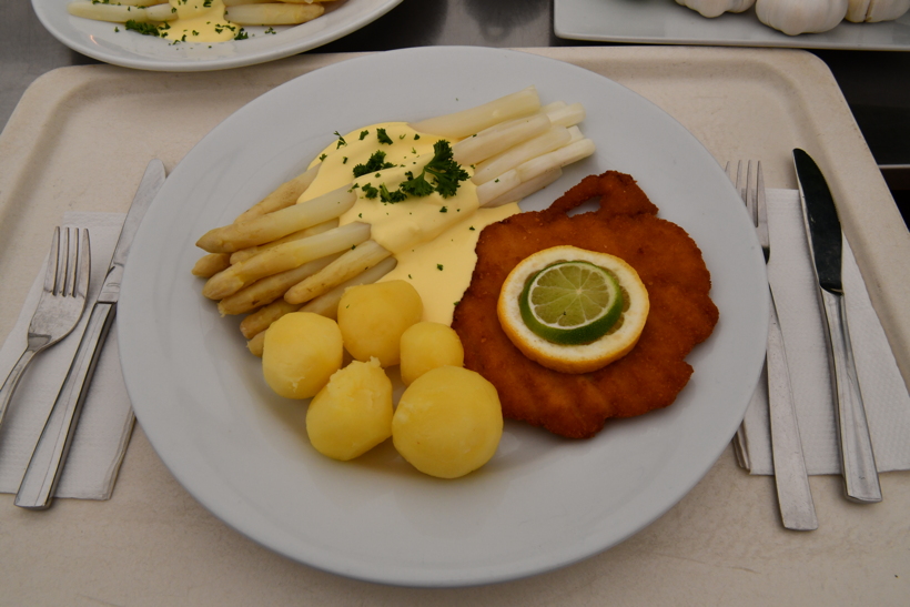 Gemüsespargel oder Gemeiner Spargel (Asparagus officinalis)Weiß- und Grünspargel.Spargel Spargelfelder Spargelzeit März bis 24 Juni Johannis Gerauer Spargeltage