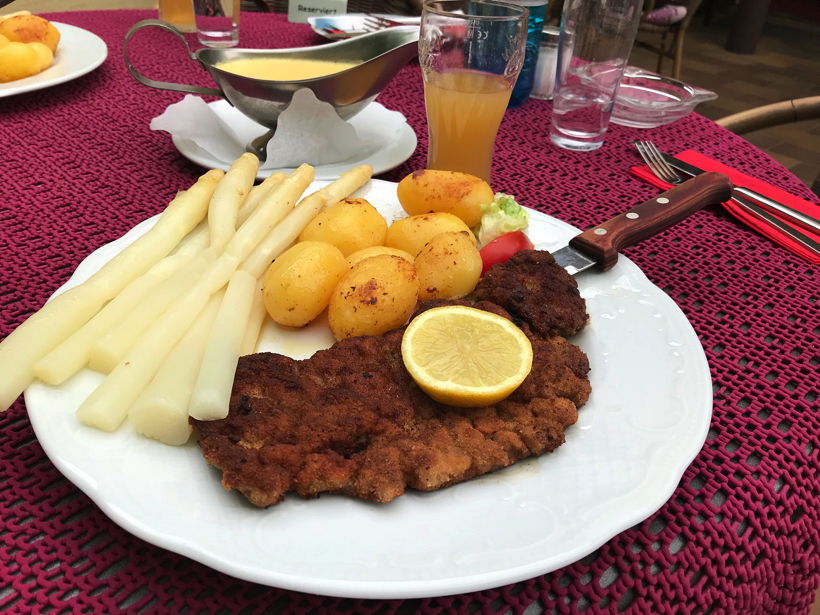 Gemüsespargel oder Gemeiner Spargel (Asparagus officinalis)Weiß- und Grünspargel.Spargel Spargelfelder Spargelzeit März bis 24 Juni Johannis Gerauer Spargeltage