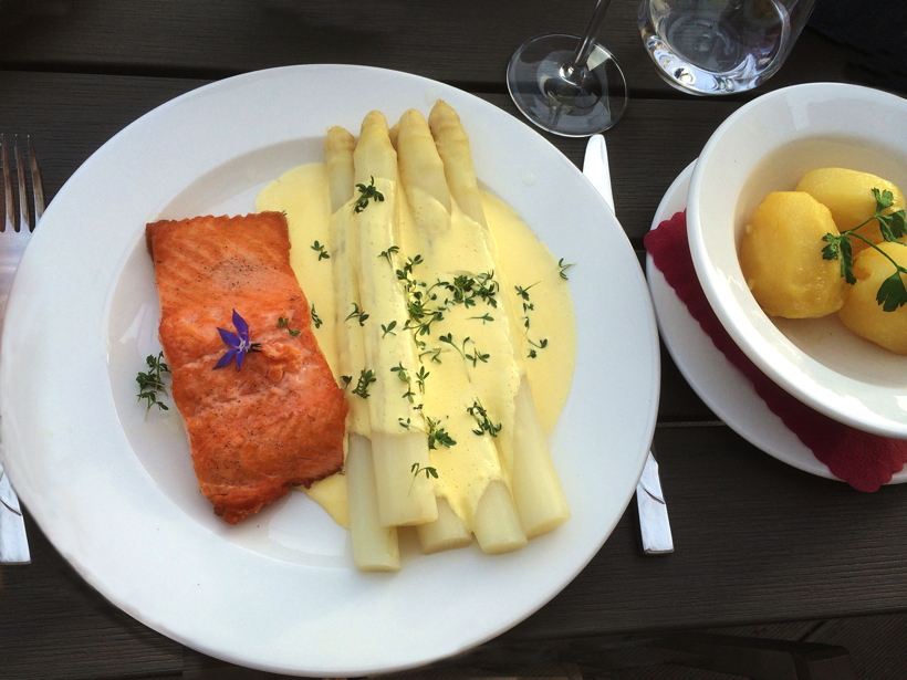 Gemüsespargel oder Gemeiner Spargel (Asparagus officinalis)Weiß- und Grünspargel.Spargel Spargelfelder Spargelzeit März bis 24 Juni Johannis Gerauer Spargeltage