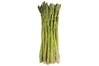 Gemüsespargel oder Gemeiner Spargel (Asparagus officinalis)Weiß- und Grünspargel.Spargel Spargelfelder Spargelzeit März bis 24 Juni Johannis Gerauer Spargeltage