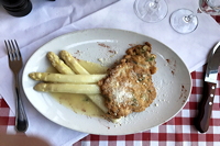 Gemüsespargel oder Gemeiner Spargel (Asparagus officinalis)Weiß- und Grünspargel.Spargel Spargelfelder Spargelzeit März bis 24 Juni Johannis Gerauer Spargeltage