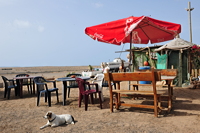 Summertime Sommertime Reisen Strand  Essen und Trinken