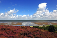 Summertime Sommertime Reisen Strand  Essen und Trinken