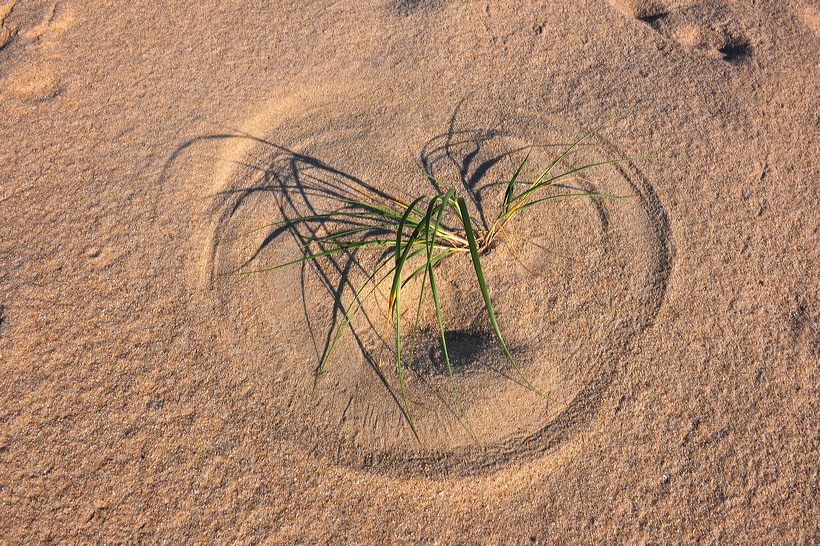 Sylt, Insel Sonne Sand und Strand im Norden von Deutschland