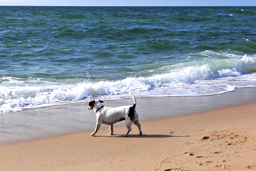 Sylt, Insel Sonne Sand und Strand im Norden von Deutschland