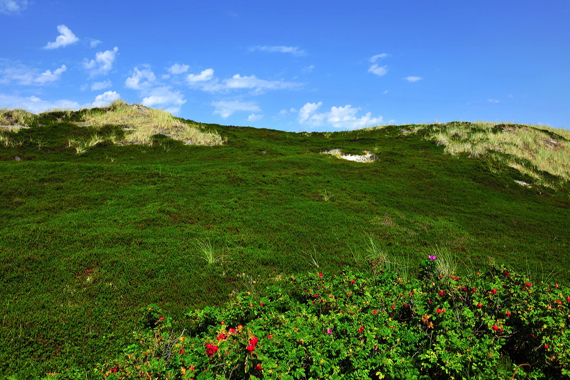 Sylt, Insel Sonne Sand und Strand im Norden von Deutschland