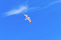 Sylt, Insel Sonne Sand und Strand im Norden von Deutschland