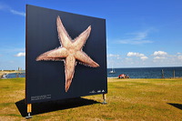 Sylt, Insel Sonne Sand und Strand im Norden von Deutschland