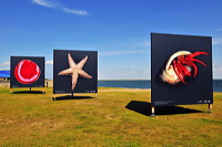 Sylt, Insel Sonne Sand und Strand im Norden von Deutschland