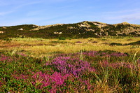 Sylt, Insel Sonne Sand und Strand im Norden von Deutschland